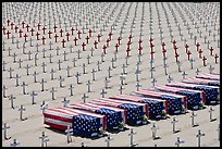 Flag draped coffins and crosses, Santa Monica beach. Santa Monica, Los Angeles, California, USA (color)