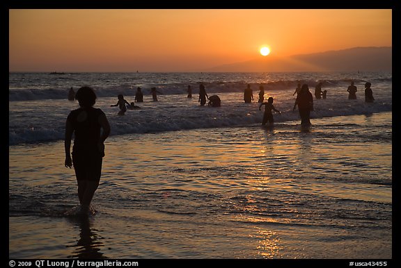 Ocean bathers at sunset, Santa Monica Beach. Santa Monica, Los Angeles, California, USA