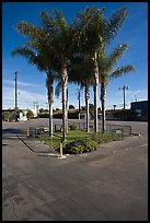 Tiny fenced park, Bergamot Station arts center. Santa Monica, Los Angeles, California, USA ( color)