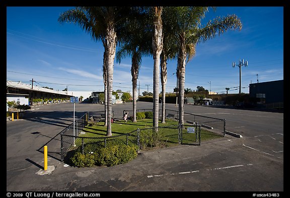 Tiniest park with grass and palm trees, Bergamot Station. Santa Monica, Los Angeles, California, USA (color)