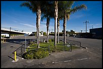 Tiniest park with grass and palm trees, Bergamot Station. Santa Monica, Los Angeles, California, USA