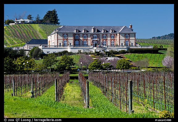 Vineyard and chateau style winery in spring. Napa Valley, California, USA (color)