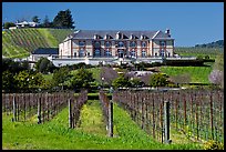 Vineyard and chateau style winery in spring. Napa Valley, California, USA
