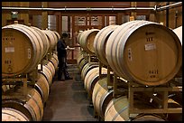 Winemaker checking barrels of wine being aged. Napa Valley, California, USA (color)