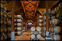 Large room filled with barrels of wine. Napa Valley, California, USA (color)