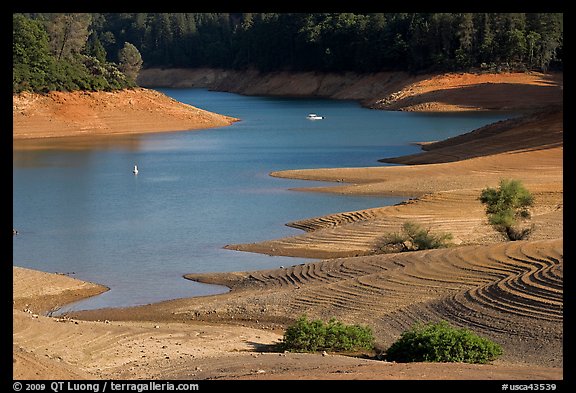 Red earth around an arm of Shasta Lake. California, USA