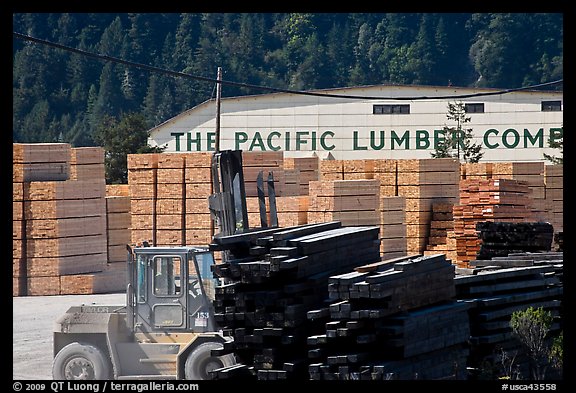 Lumber and forklift, Pacific Lumber Company, Scotia. California, USA (color)