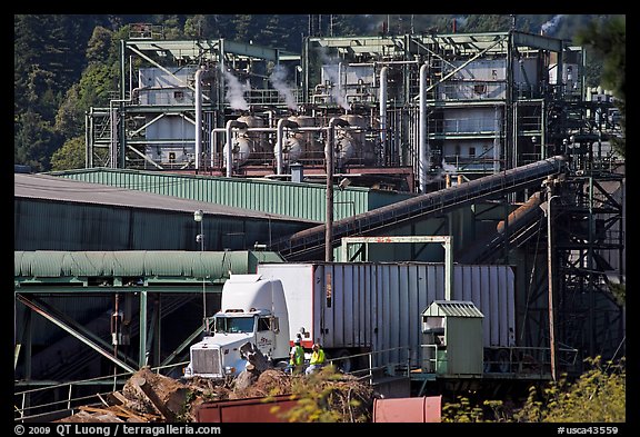 Pacific Lumber Company mill and truck, Scotia. California, USA