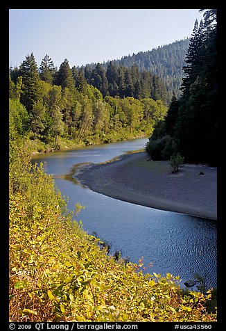 Eel River near Avenue of the Giants. California, USA