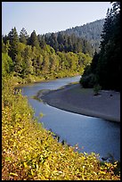 Eel River near Avenue of the Giants. California, USA (color)