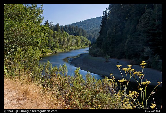 Riverbend of the Eel in redwood forest. California, USA (color)