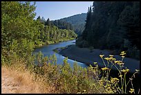 Riverbend of the Eel in redwood forest. California, USA (color)