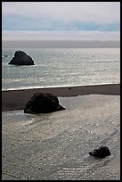 Shimmering waters, Mouth of the Russian River, Jenner. Sonoma Coast, California, USA ( color)