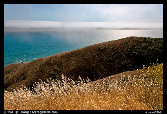 Summer grasses, hill, and ocean shimmer. Sonoma Coast, California, USA (color)