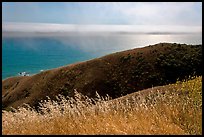 Summer grasses, hill, and ocean shimmer. Sonoma Coast, California, USA (color)