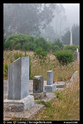 Foggy cemetery, Manchester. California, USA