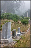 Foggy cemetery, Manchester. California, USA