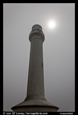Point Arena Lighthouse and sun through fog. California, USA