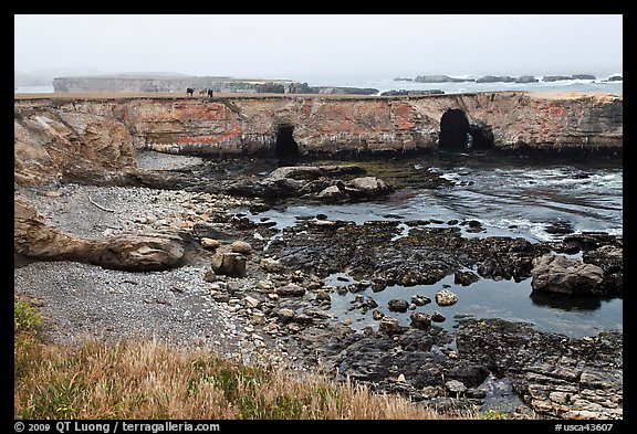 Seascape with cliffs and pasturs. California, USA