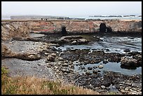 Seascape with cliffs and pasturs. California, USA ( color)