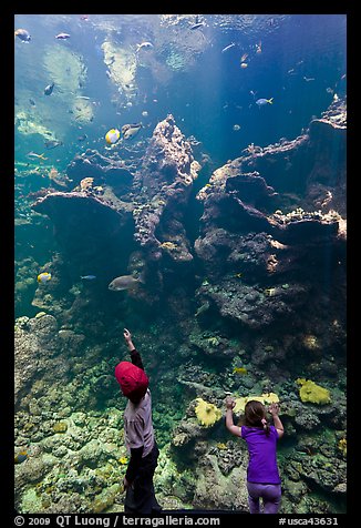Children in front of Coral Reef tank, Steinhart Aquarium, California Academy of Sciences. San Francisco, California, USA (color)