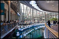 Special lamps recreate sunlight on top of Coral Reef tank, California Academy of Sciences. San Francisco, California, USA<p>terragalleria.com is not affiliated with the California Academy of Sciences</p> (color)