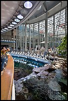 Tourists look at rays on surface of coral reef tank , California Academy of Sciences. San Francisco, California, USA<p>terragalleria.com is not affiliated with the California Academy of Sciences</p> (color)