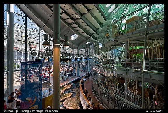 Piazza and glass dome enclosing rain forest , California Academy of Sciences. San Francisco, California, USA<p>terragalleria.com is not affiliated with the California Academy of Sciences</p>