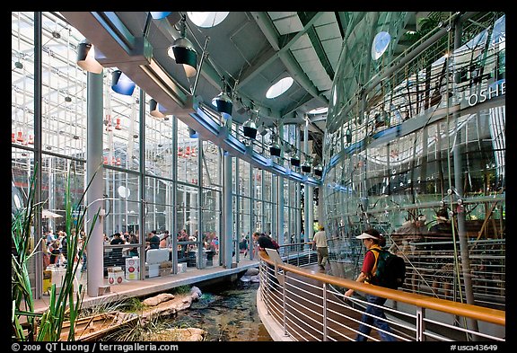 Piazza and 90 foot diameter glass dome housing spherical rainforest exhibit, California Academy of Sciences. San Francisco, California, USA<p>terragalleria.com is not affiliated with the California Academy of Sciences</p>