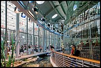 Piazza and 90 foot diameter glass dome housing spherical rainforest exhibit, California Academy of Sciences. San Francisco, California, USA<p>terragalleria.com is not affiliated with the California Academy of Sciences</p>