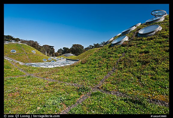 Living roof, California Academy of Sciences. San Francisco, California, USA<p>terragalleria.com is not affiliated with the California Academy of Sciences</p>