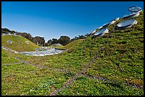 Living roof, California Academy of Sciences. San Francisco, California, USA<p>terragalleria.com is not affiliated with the California Academy of Sciences</p>