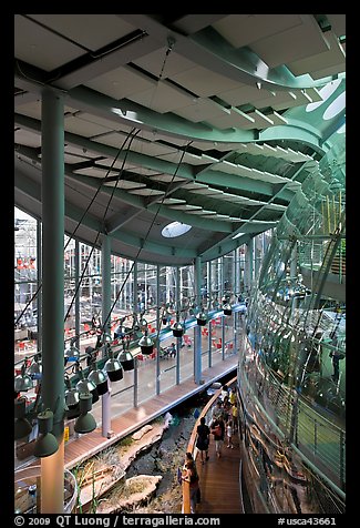 Four-story Rainforest dome from above, California Academy of Sciences. San Francisco, California, USA (color)