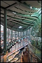 Four-story Rainforest dome from above, California Academy of Sciences. San Francisco, California, USA<p>terragalleria.com is not affiliated with the California Academy of Sciences</p> (color)