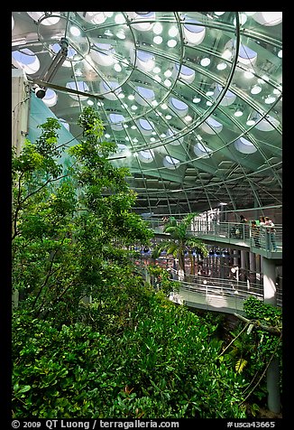 Domed rainforest, California Academy of Sciences. San Francisco, California, USA (color)