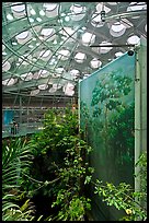 Rainforest canopy and dome, California Academy of Sciences. San Francisco, California, USA<p>terragalleria.com is not affiliated with the California Academy of Sciences</p>