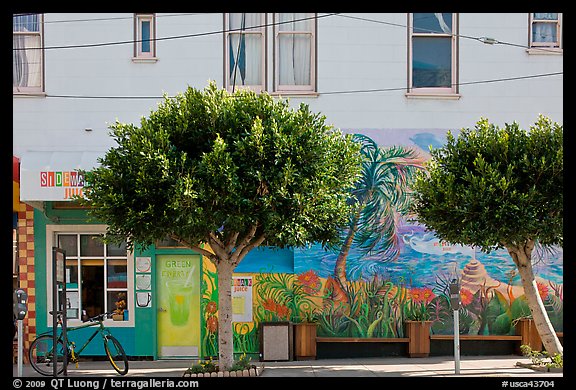Store, trees and mural, Mission District. San Francisco, California, USA (color)