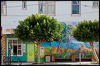 Store, trees and mural, Mission District. San Francisco, California, USA (color)