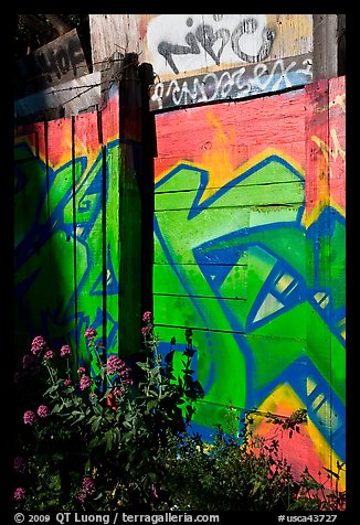 Flowers and painted wall, Mission District. San Francisco, California, USA (color)