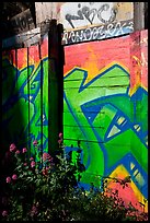 Flowers and painted wall, Mission District. San Francisco, California, USA ( color)