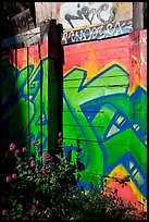 Flowers and painted wall, Mission District. San Francisco, California, USA