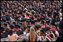 Graduates in academic regalia. Stanford University, California, USA ( color)