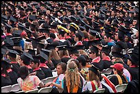 Graduates in academic regalia. Stanford University, California, USA