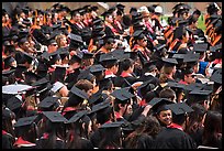 Graduating students in academic gowns and caps. Stanford University, California, USA ( color)