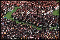 Large gathering of students in academic dress at graduation ceremony. Stanford University, California, USA (color)