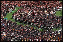 Large gathering of students in academic dress at graduation ceremony. Stanford University, California, USA (color)