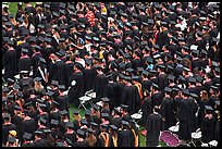 Rows of graduates in academic costume. Stanford University, California, USA (color)