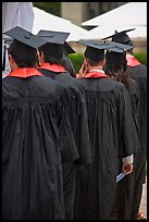 Graduates with robes and square caps seen from behind. Stanford University, California, USA (color)