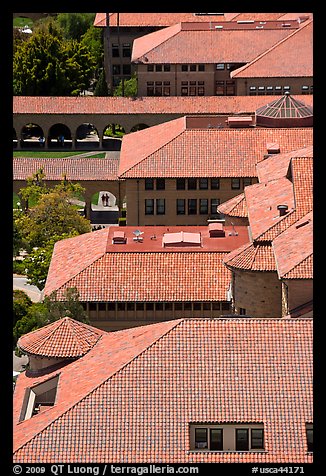 Red tiles rooftops seen from above. Stanford University, California, USA