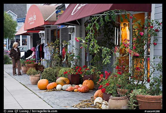 Sidewalk in the fall. Half Moon Bay, California, USA